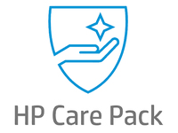 Hewlett Packard (HP) HP Thin Client Conversion Solution - Tec