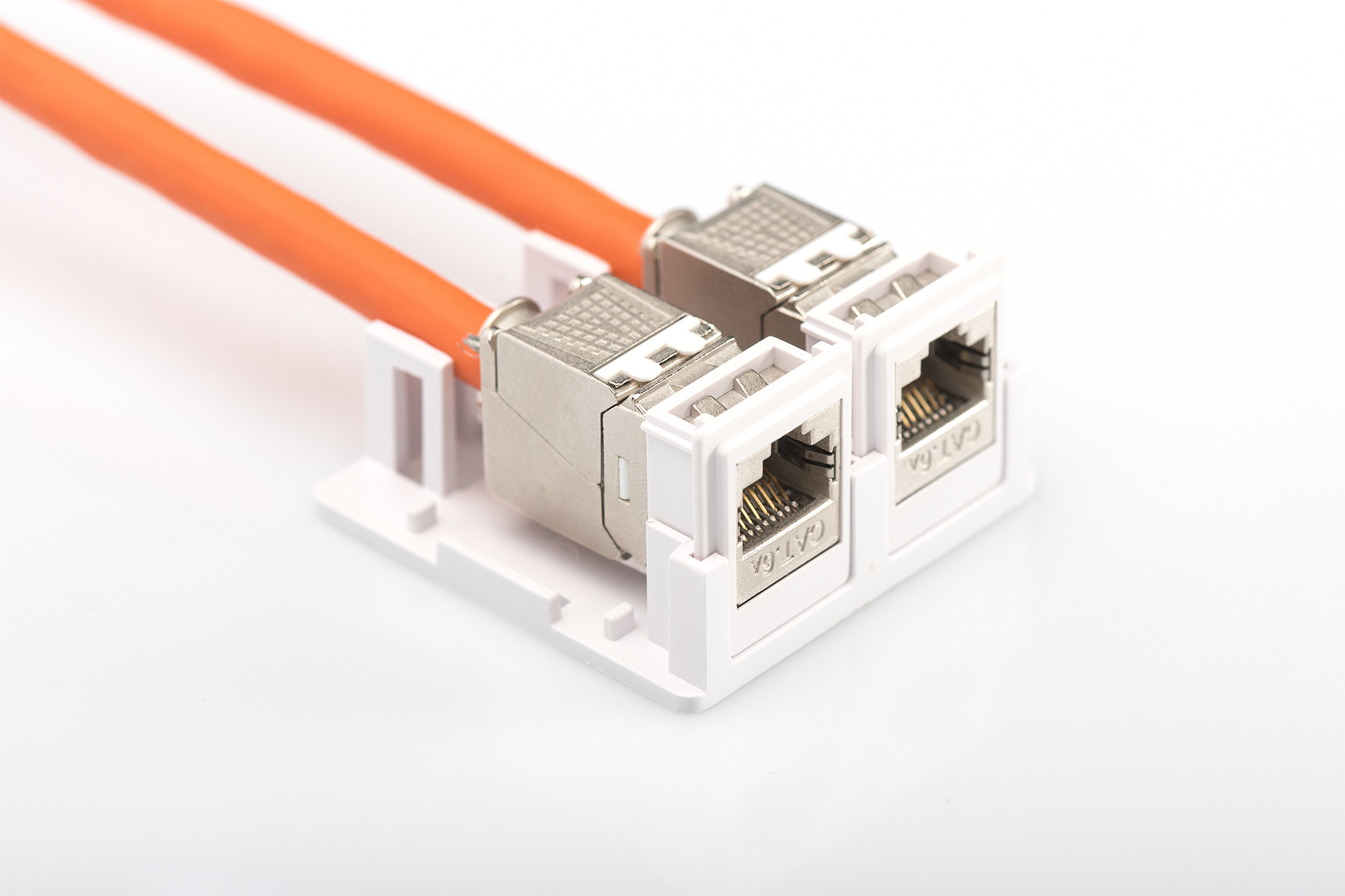 DIGITUS Konsolidierungs-Punkt Gehäuse für 2x Keystone Module, Ansicht 2