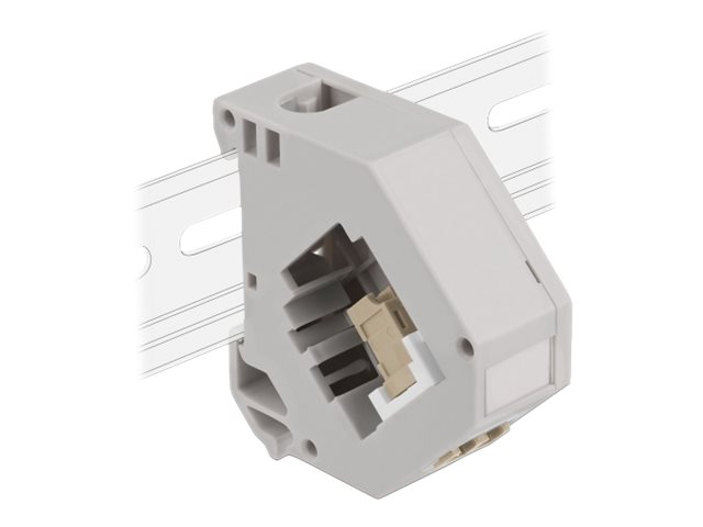 Delock Keystone Jack-DIN-Adapter für Schienenmontage