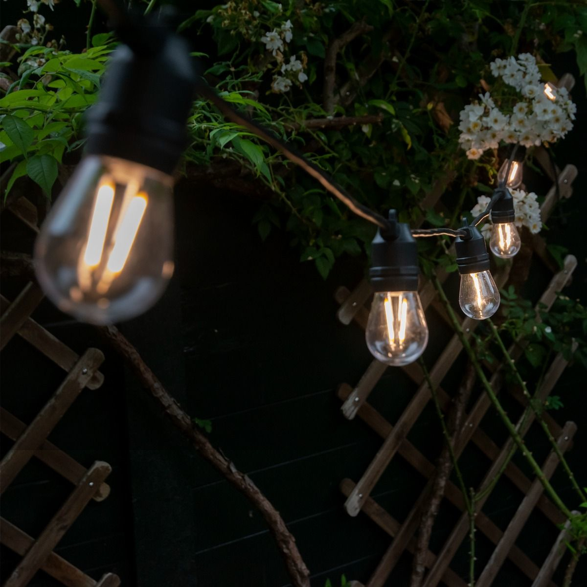 Hombli Smart - Lichterketten-Verlängerung - Glühbirne mit LED-Filament x 10, Ansicht 2