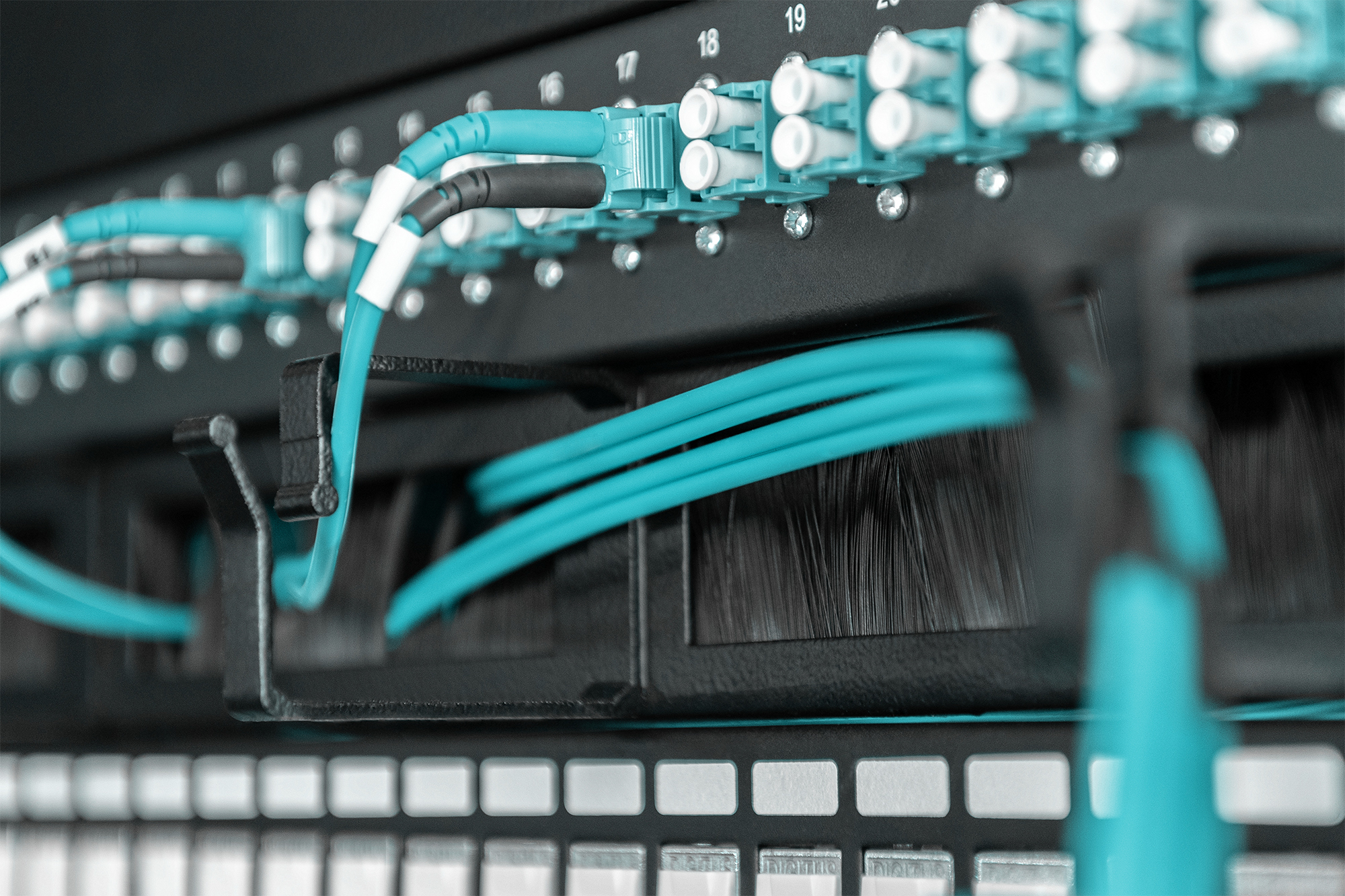 DIGITUS Kabelrangierpanel mit Bürstenleisten für 483 mm (19)-Schränke, 1HE, Ansicht 2