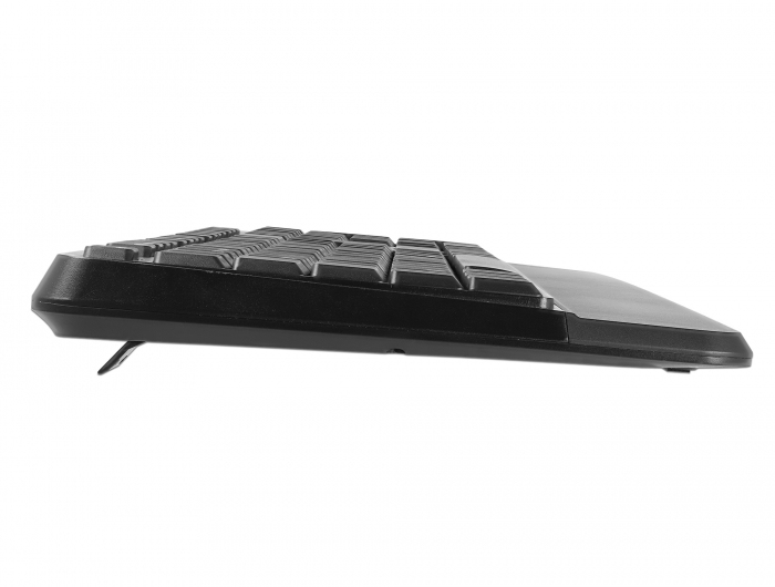 Delock Tastatur-und-Maus-Set - kabellos - 2.4 GHz - TL: Deutsch, QWERTZ, Ansicht 2