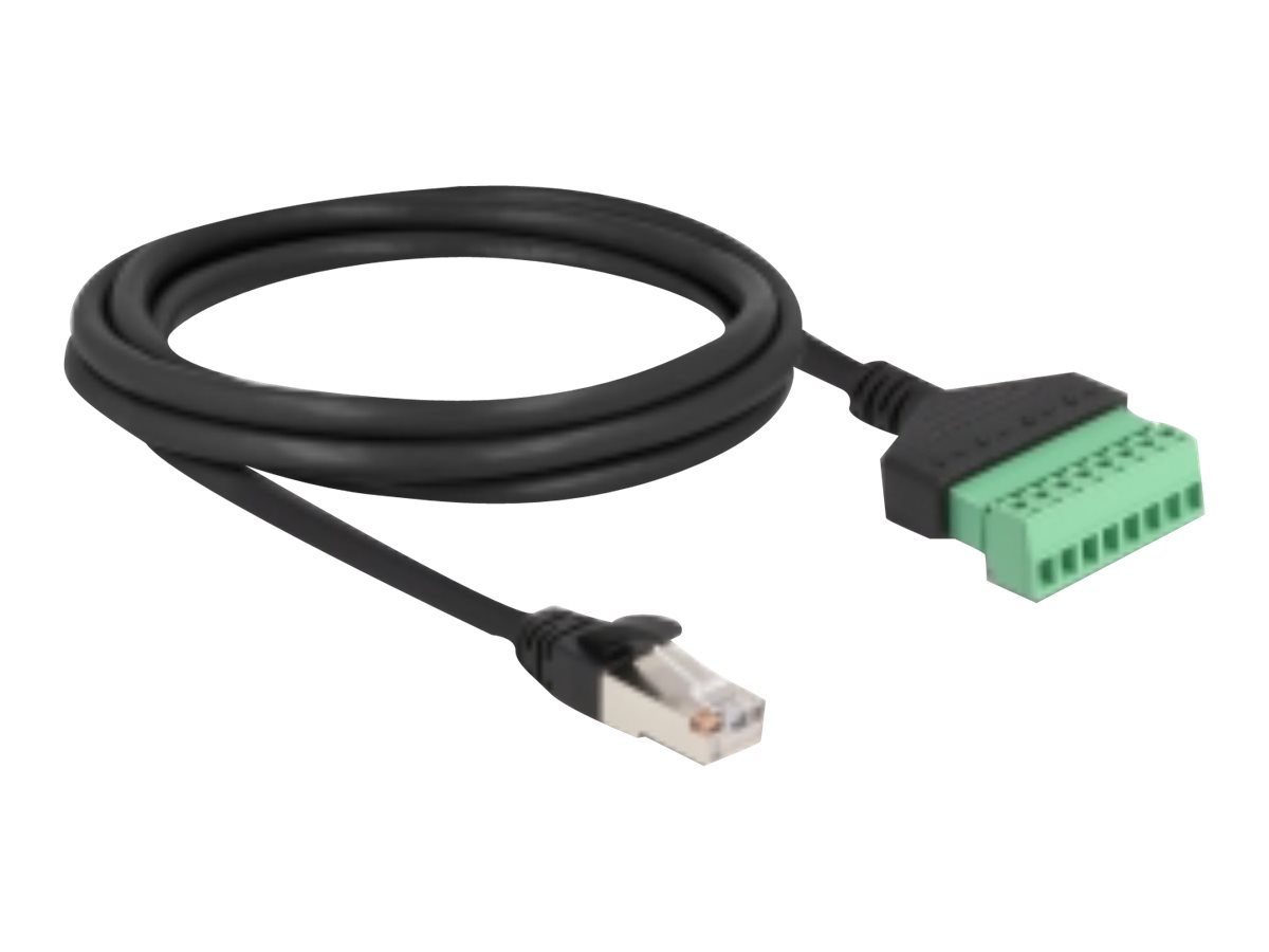 DELOCK RJ45 Kabel Cat.6 zu Terminalblock (66041)