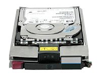 HP EVA M6412A 300GB 10K FC Reman Drive (AP766B) - REFURB
