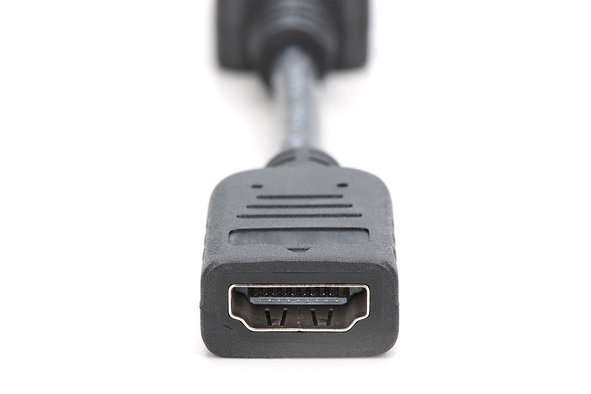 DIGITUS DisplayPort Adapter / Konverter, Ansicht 2