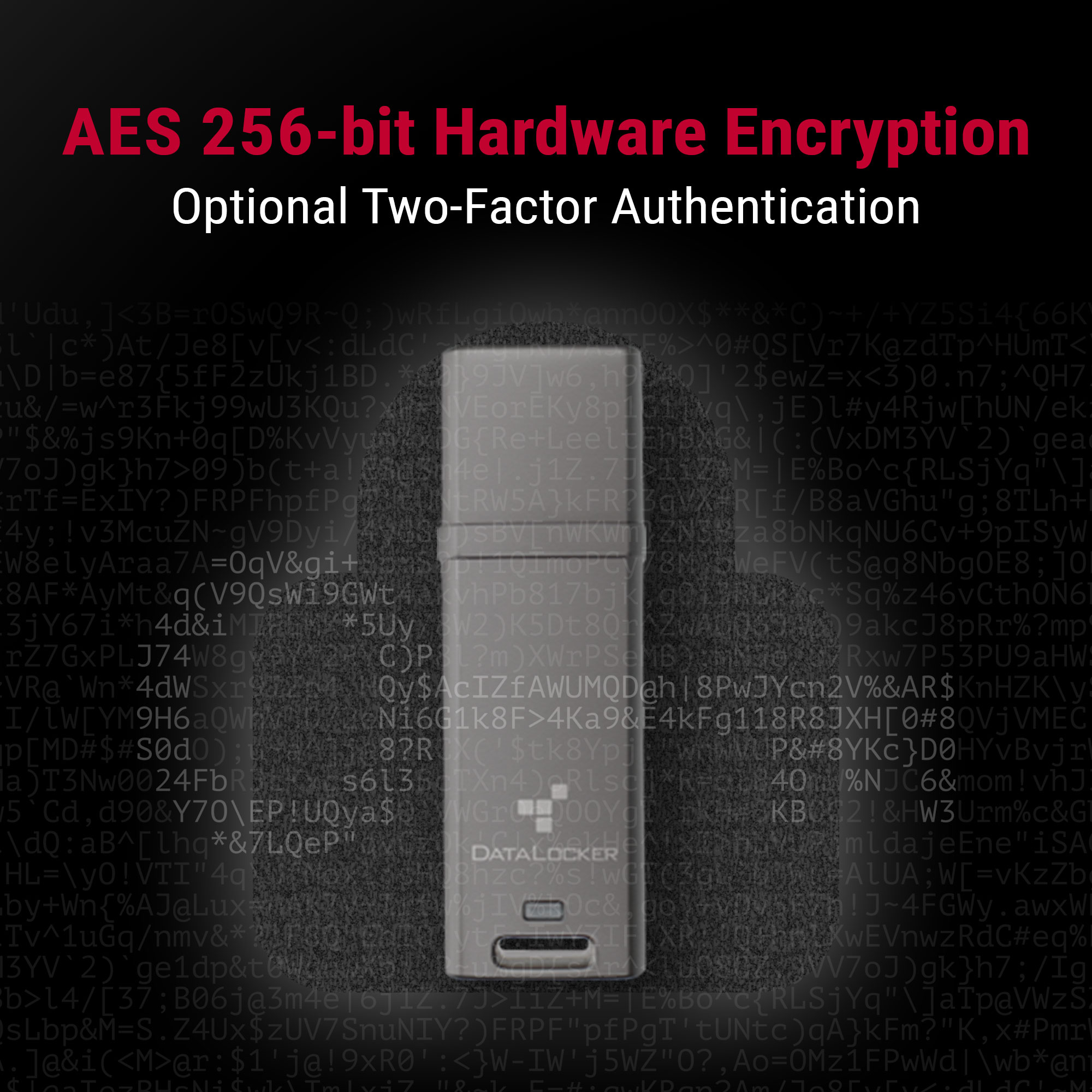DataLocker 4GB DL GO 256BIT - Flash-Speicher - unsortiert, Ansicht 3