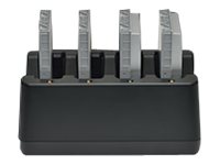 Panasonic FZ-VCBM11U - Batterieladegerät - 4 x Batterien laden