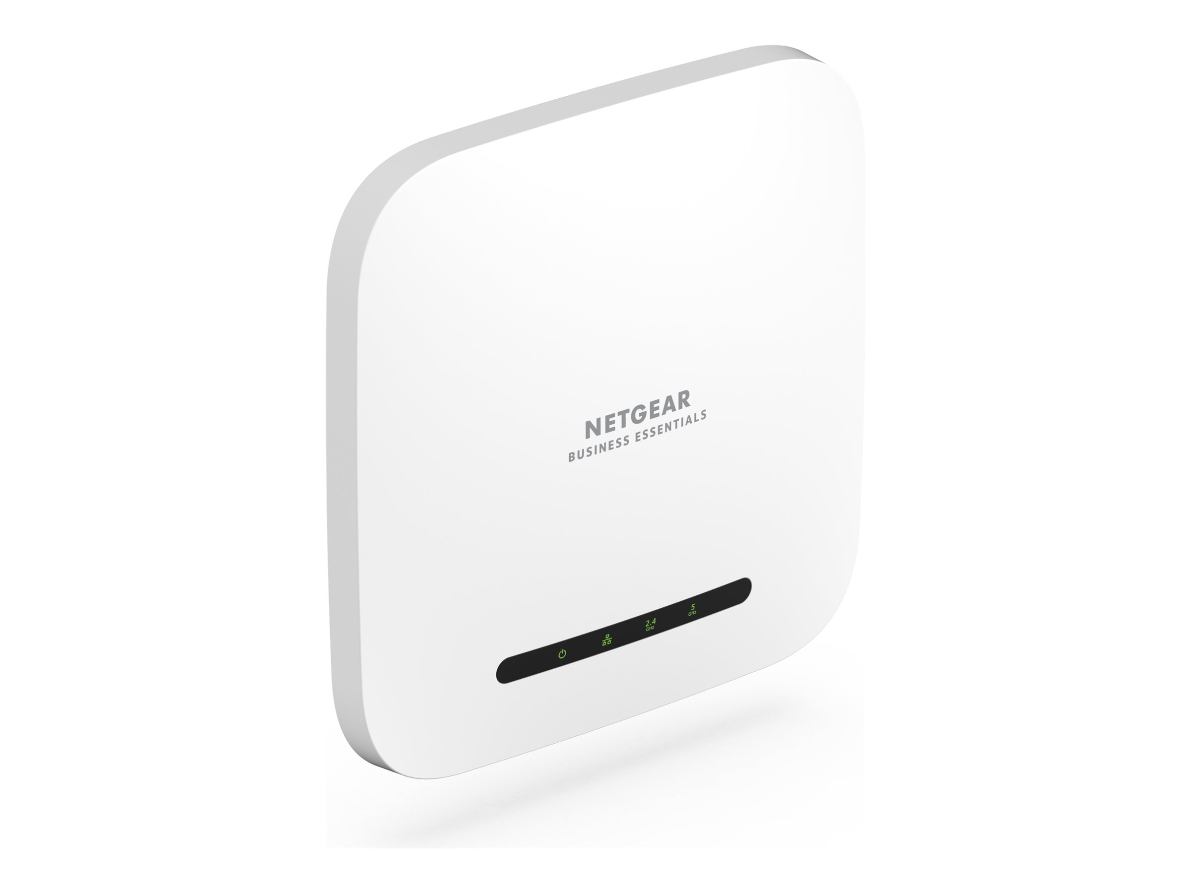 Netgear Business Essentials WAX220 - Accesspoint