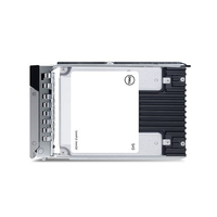 Dell  SSD - Read Intensive - 960 GB - Hot-Swap - 2.5 (6.4 cm)