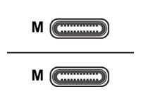 Fujitsu USB-Kabel - USB-C (M) bis USB-C (M)