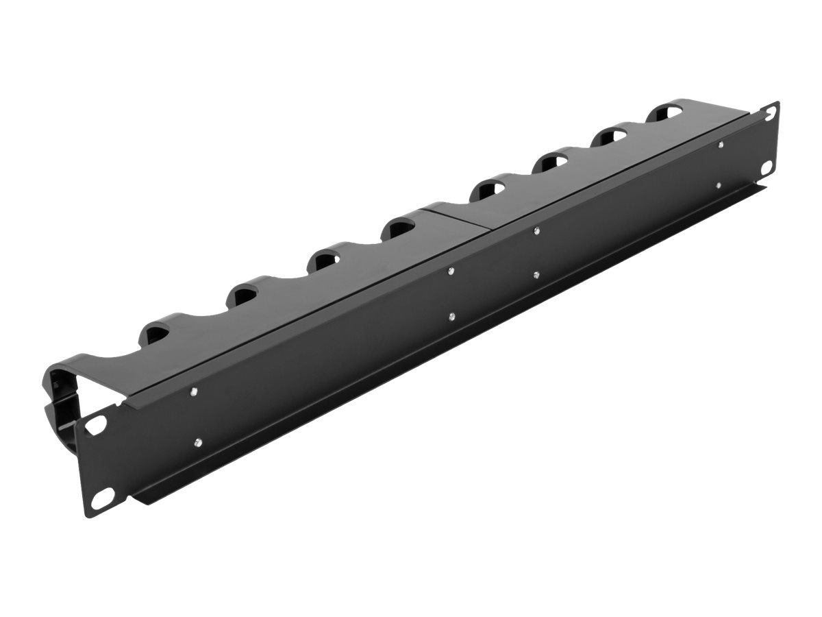 Delock Verlegetafel für Rack-Kabelmanagement - mit 10 geschlossenen Kabelbügeln - Schwarz - 1U - 48.3 cm (19)