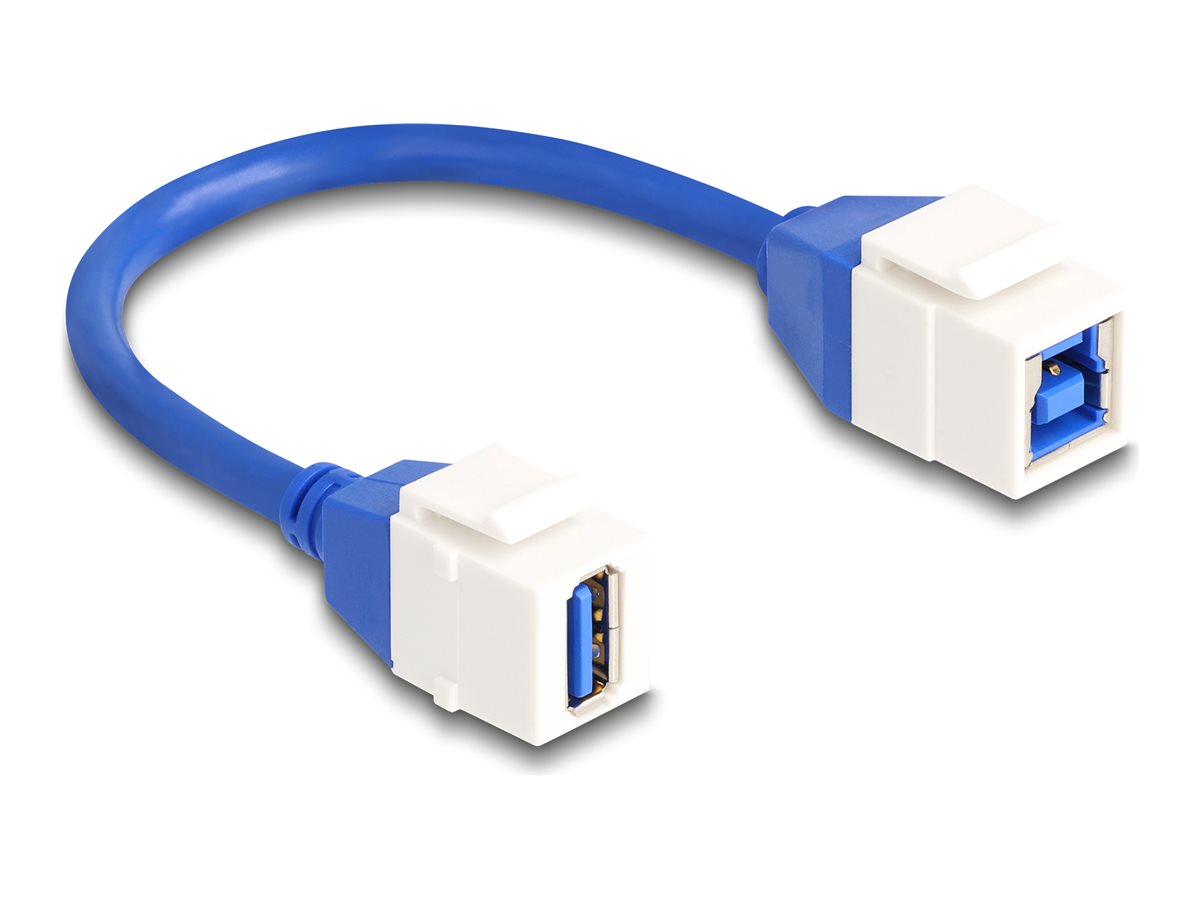 Delock USB-Kabel - USB Typ A (W) Keystone zu USB Type B (W)