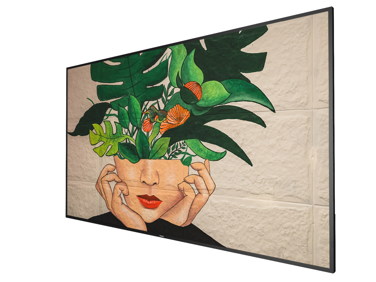 Philips 65BDL4511D - 165 cm (65) Diagonalklasse (163.8 cm (64.5), Ansicht 4