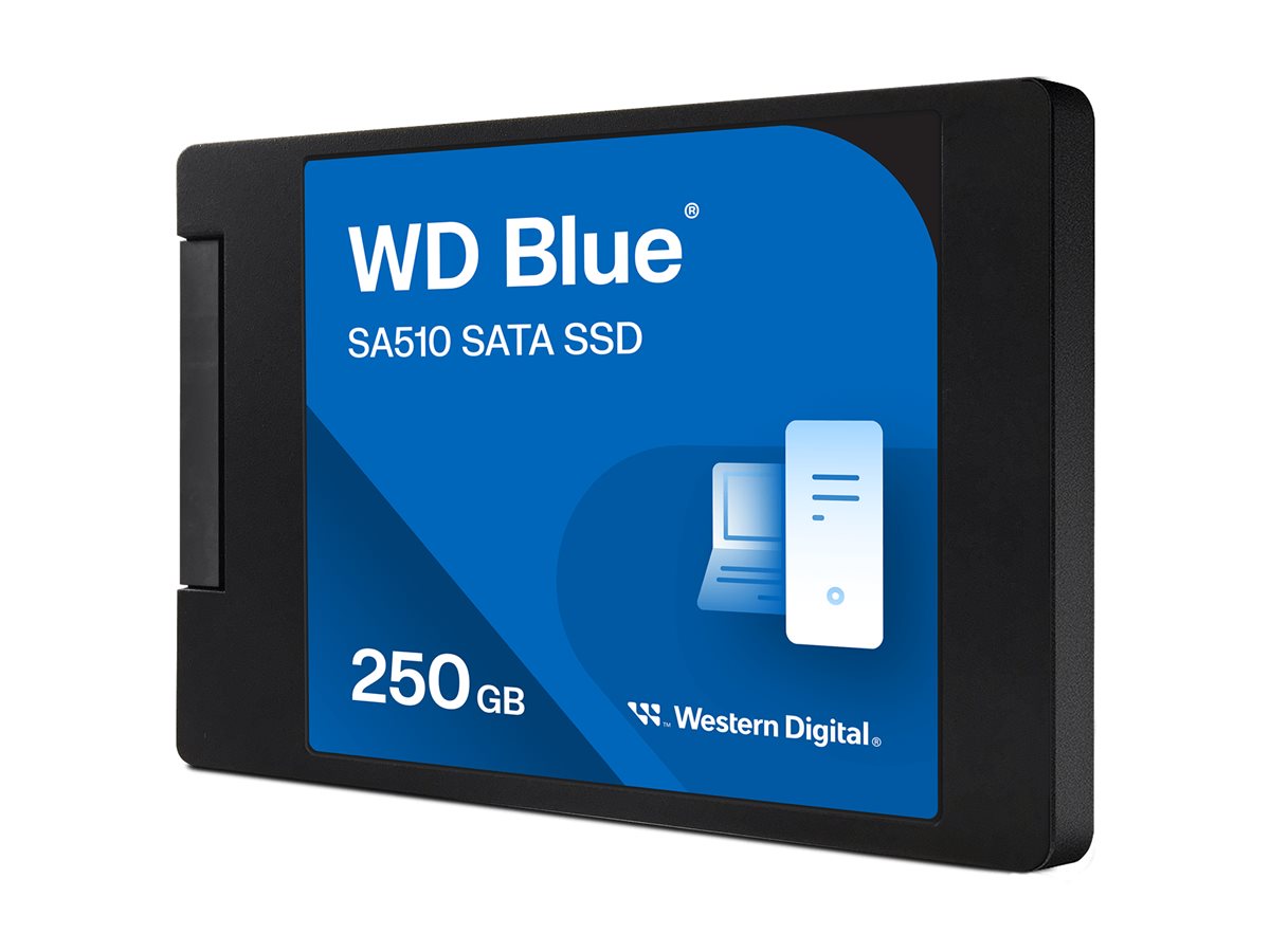 WD Blue SA510 - SSD - 250 GB - intern - 2.5 (6.4 cm)