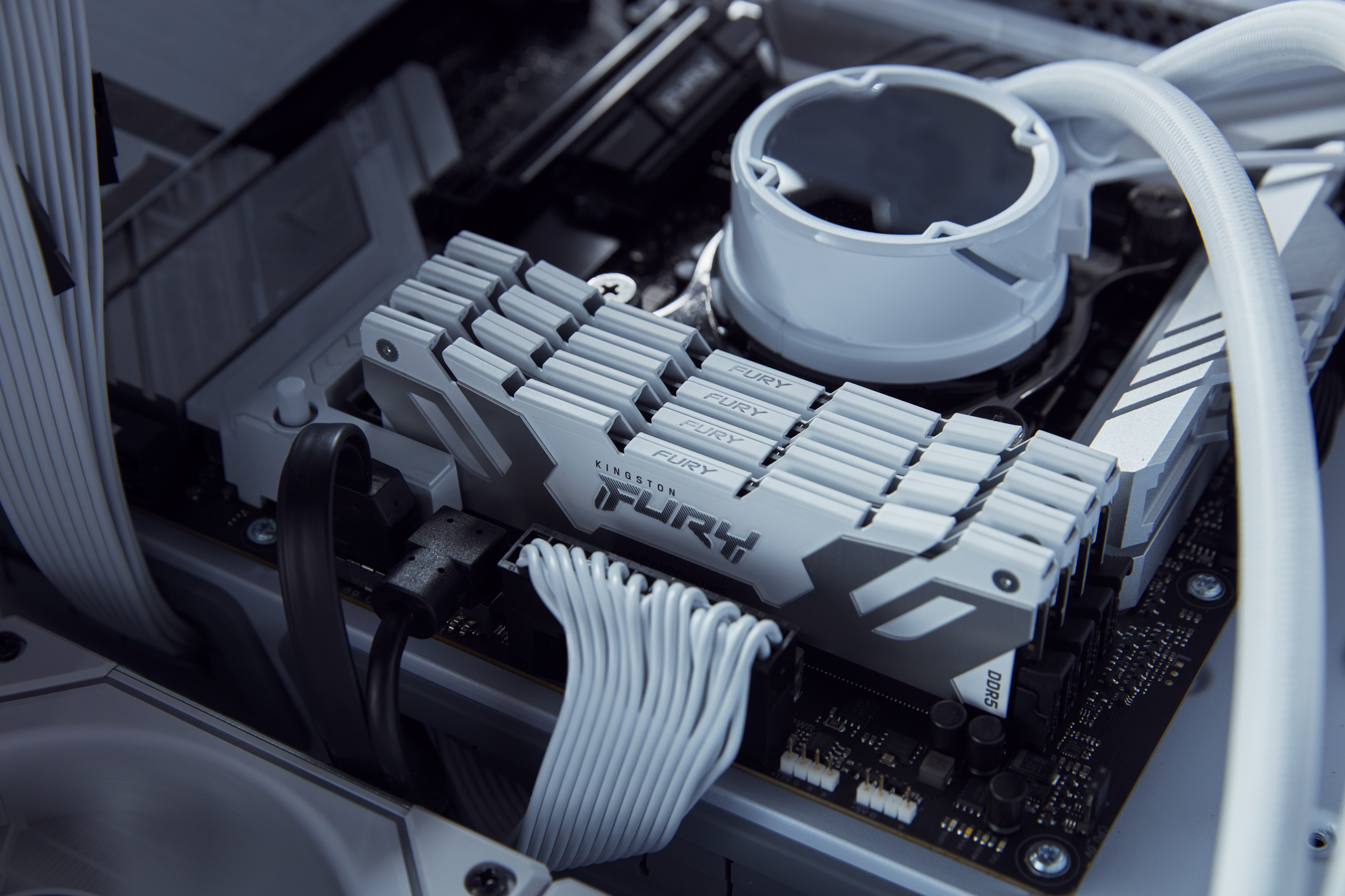 Kingston FURY Renegade - DDR5 - Modul - 16 GB, Ansicht 2