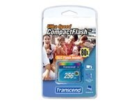 80x CompactFlash Card 256MB Speicherkarte 0,25 GB Kompaktflash