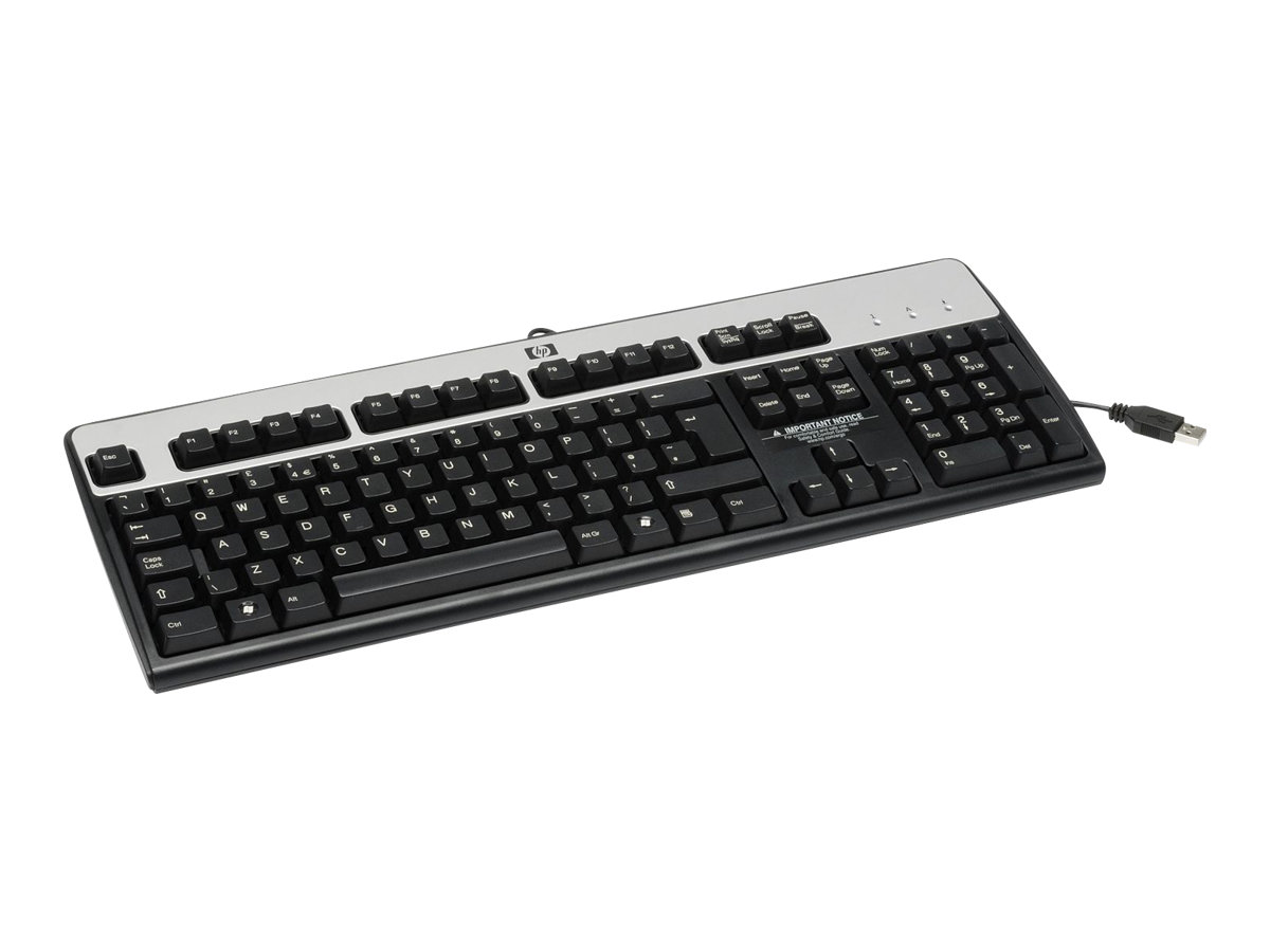 HPE Standard - Tastatur - USB - Silber - TL: Spanisch, QWERTY, Ansicht 3