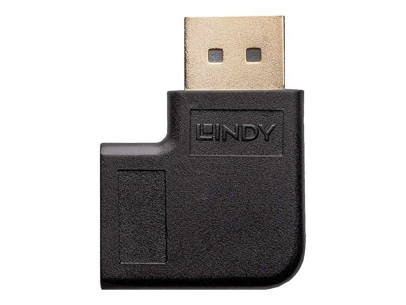 Lindy DisplayPort-Adapter - DisplayPort (M)