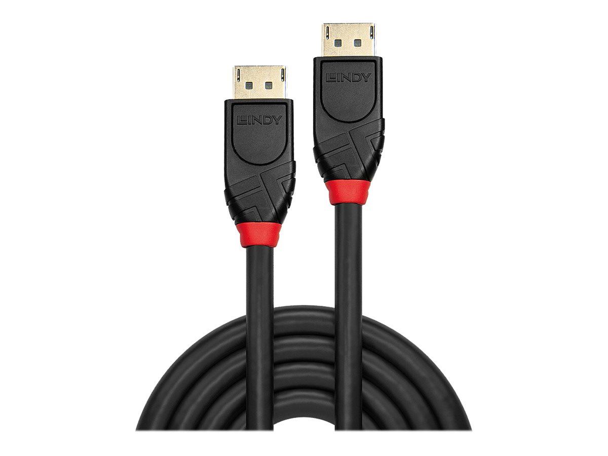 Lindy - DisplayPort-Kabel - DisplayPort (M) zu DisplayPort (M) - DisplayPort 1.2 - 15 m - rund, 4K Unterstützung, aktiv