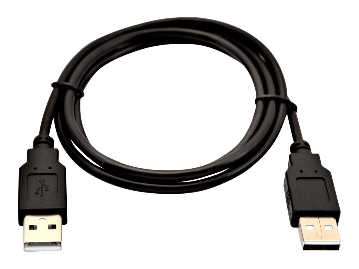 V7 - USB-Kabel - USB (M) zu USB (M) - USB 2.0 - 1 m