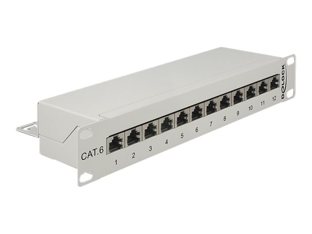 Delock Patch Panel - RJ-45 X 12 - Hellgrau - 1U - 25.4 cm 10" (43299)