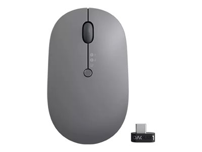 Lenovo Go Multi-device - Maus - optisch blau