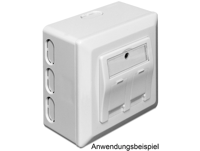 Delock Back Box - Installationskasten Netzwerkoberfläche, Ansicht 3