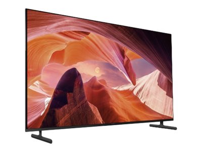 Sony Bravia Professional Displays FWD-55X80L - 139 cm (55)