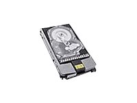 HP 300GB 15K Hot Plug FC-AL-2 HDD (AG425A) - REFURB