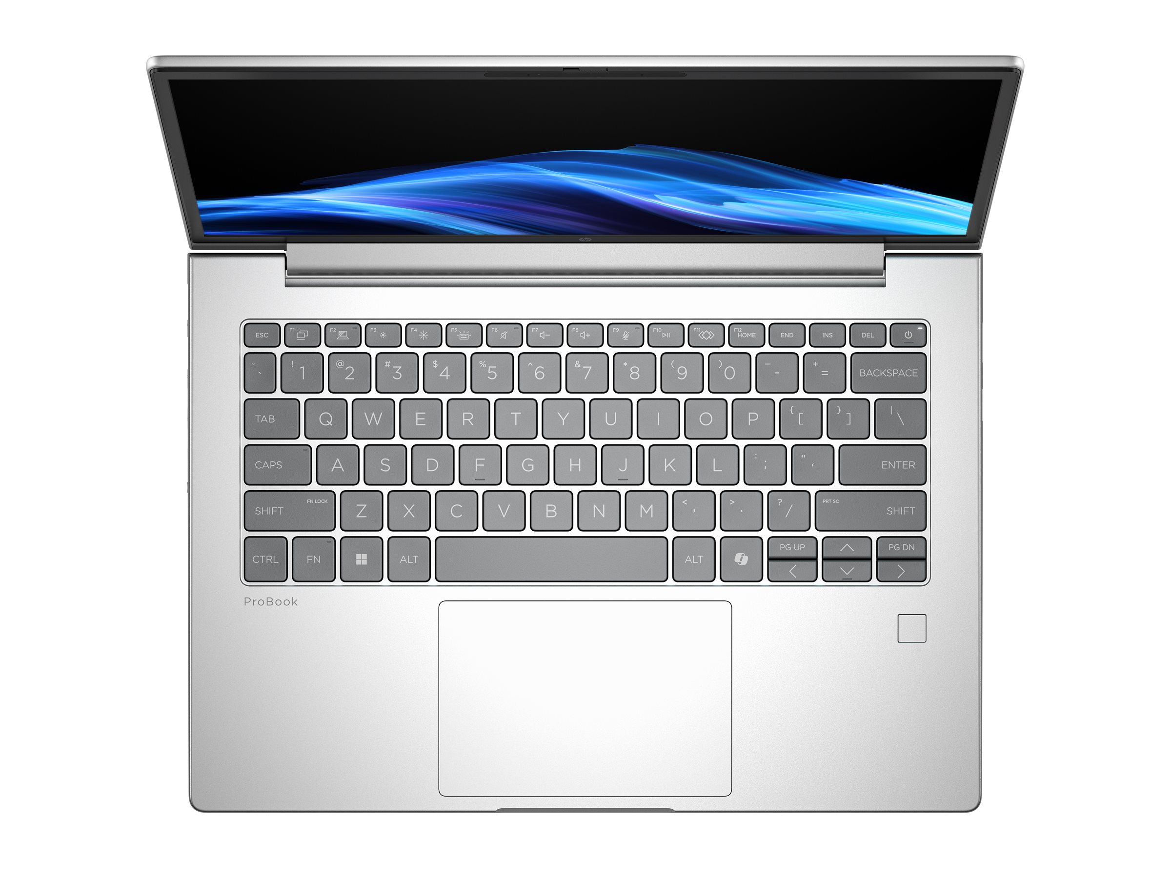 HP ProBook 4 G1i Notebook AI - 177-Grad Scharnierdesign - Intel Core Ultra 7 255U / 2 GHz - Win 11 Pro - Intel Graphics - 24 GB RAM - 512 GB SSD NVMe - 40.6 cm (16")