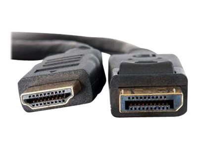 Techly Adapterkabel - DisplayPort männlich zu HDMI männlich, Ansicht 2