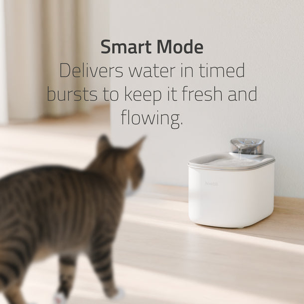 Hombli Smart Pet Water Fountain, Ansicht 3