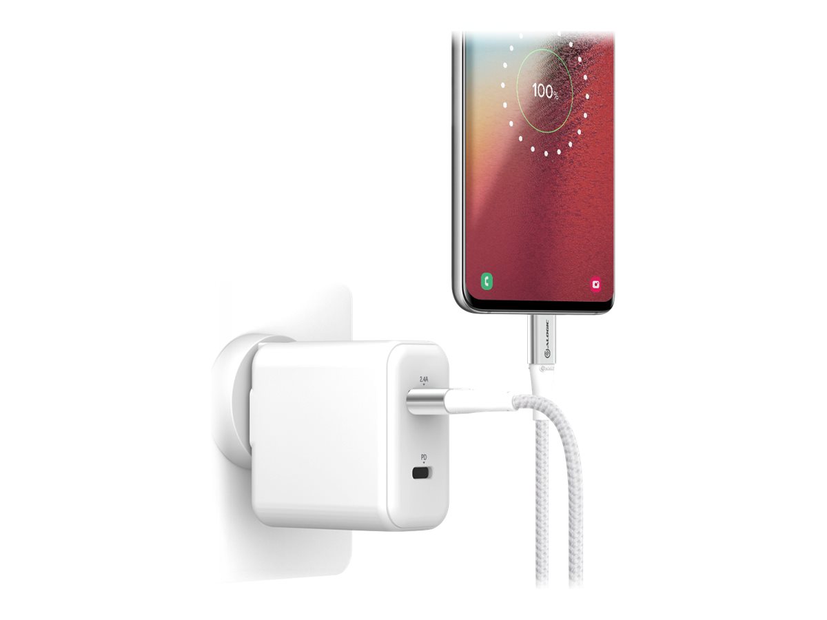 Alogic Super Ultra - USB-Kabel - 24 pin USB-C (M) - zu USB (M) - USB 2.0 - 3 A - 30 cm - Silber, Ansicht 4