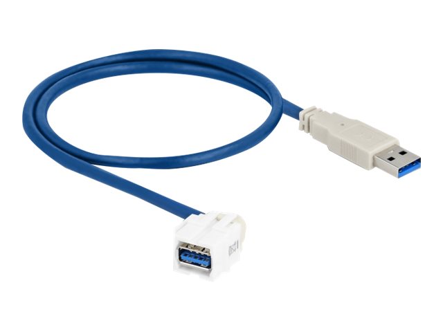 Delock - Modulare Eingabe - 250° abgewinkelt - 50 cm - USB 3.0 Type A - weiß