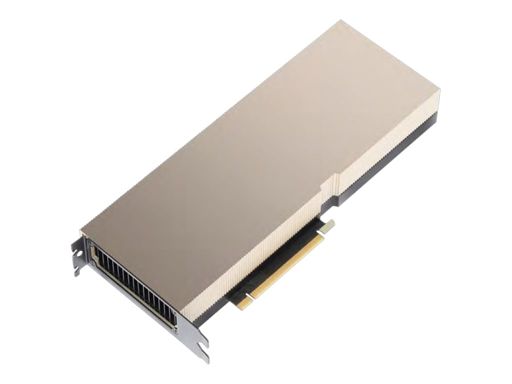 PNY NVIDIA Tesla A100 - 40 GB - GPU-Rechenprozessor - A100 Tensor Core