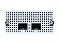 Sophos FleXi Port - Erweiterungsmodul - 10 Gigabit