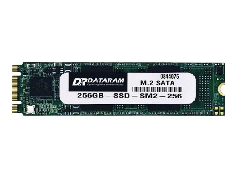 Dataram SSDM2-SATA - SSD - 256 GB - inte