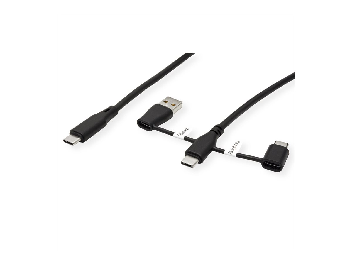 ROLINE USB-Kabel - USB-C (M) zu USB, USB-C (M)