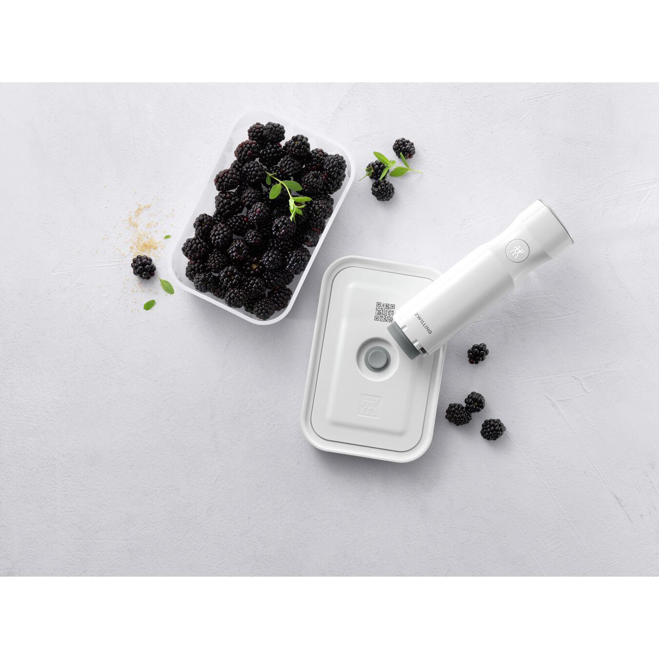 Zwilling FRESH & SAVE - Brotdose - Erwachsener - Grau - Kunststoff - Silikon - Einfarbig - Rechteckig, Ansicht 4
