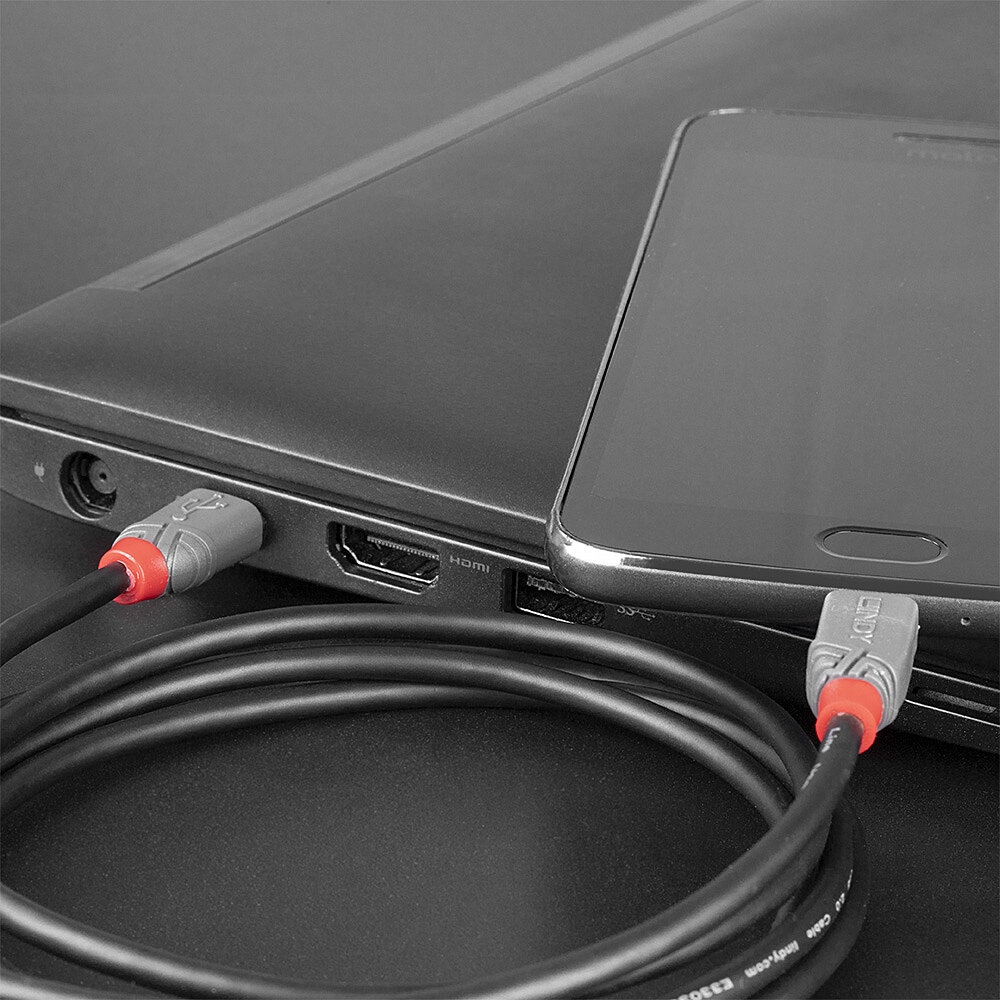 Lindy Anthra Line - USB-Kabel - 24 pin USB-C (M), Ansicht 4