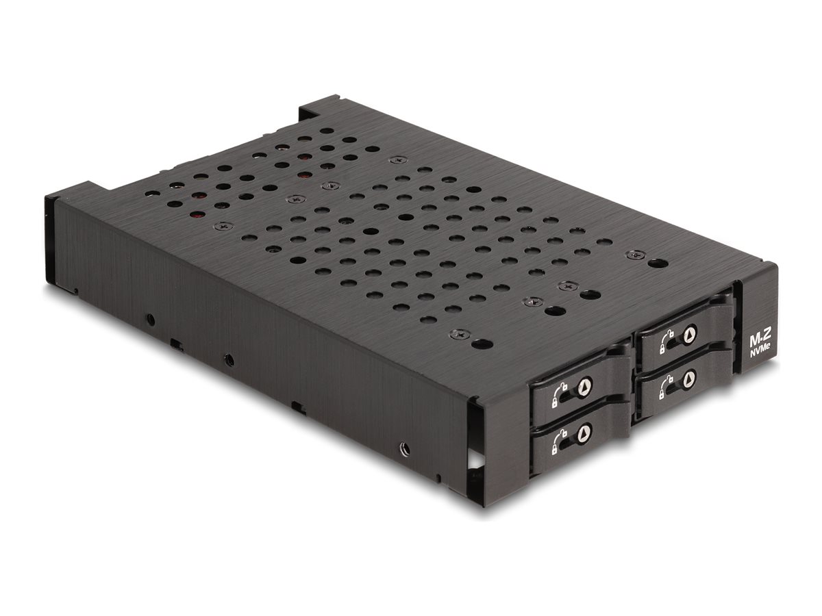 Delock Mobiles Speicher-Rack - M.2