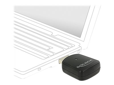 Delock Wireless LAN USB Mini Stick - Netzwerkadapter (12502)
