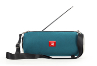 Gembird SPK-BT-17 portable Bluetooth speaker with FM-radio green - Lautsprecher