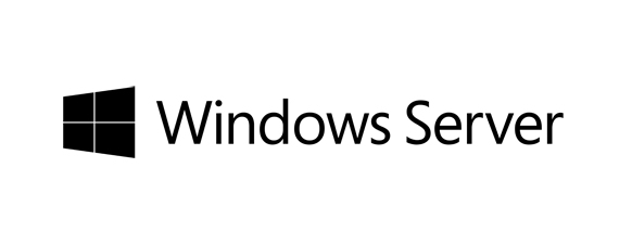 Fujitsu Microsoft Windows Server 2019 - Lizenz - 5 RDS Benutzer CALs