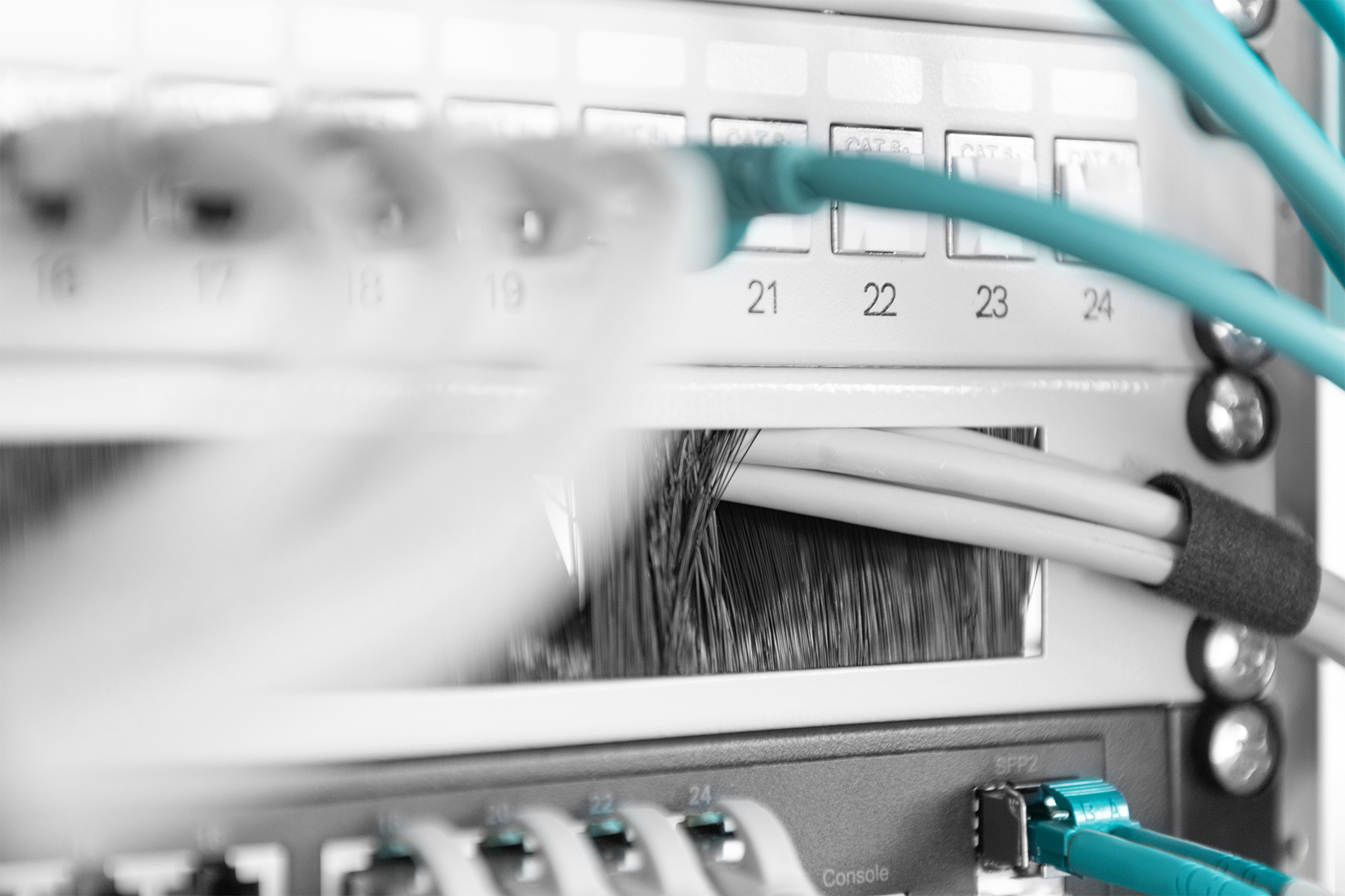 DIGITUS Kabelbürstenleiste für 483 mm (19)-Schränke, Ansicht 3