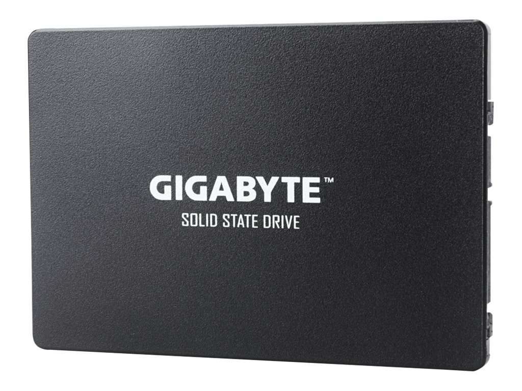 Gigabyte SSD - 256 GB - intern - 2.5" (6.4 cm)