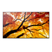 NEC M552 55IN LFD UHD D-LED