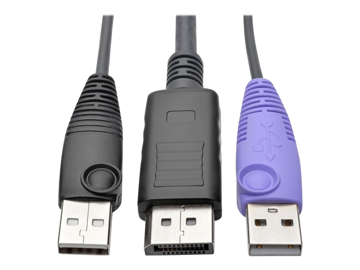 Tripp Eaton Tripp Lite Series DisplayPort USB Server Interface wVirtual Media & CAC B064 KVMs TAA