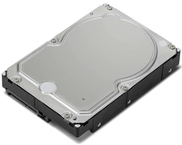 Lenovo Festplatte - 10 TB - intern - 3.5 (8.9 cm)