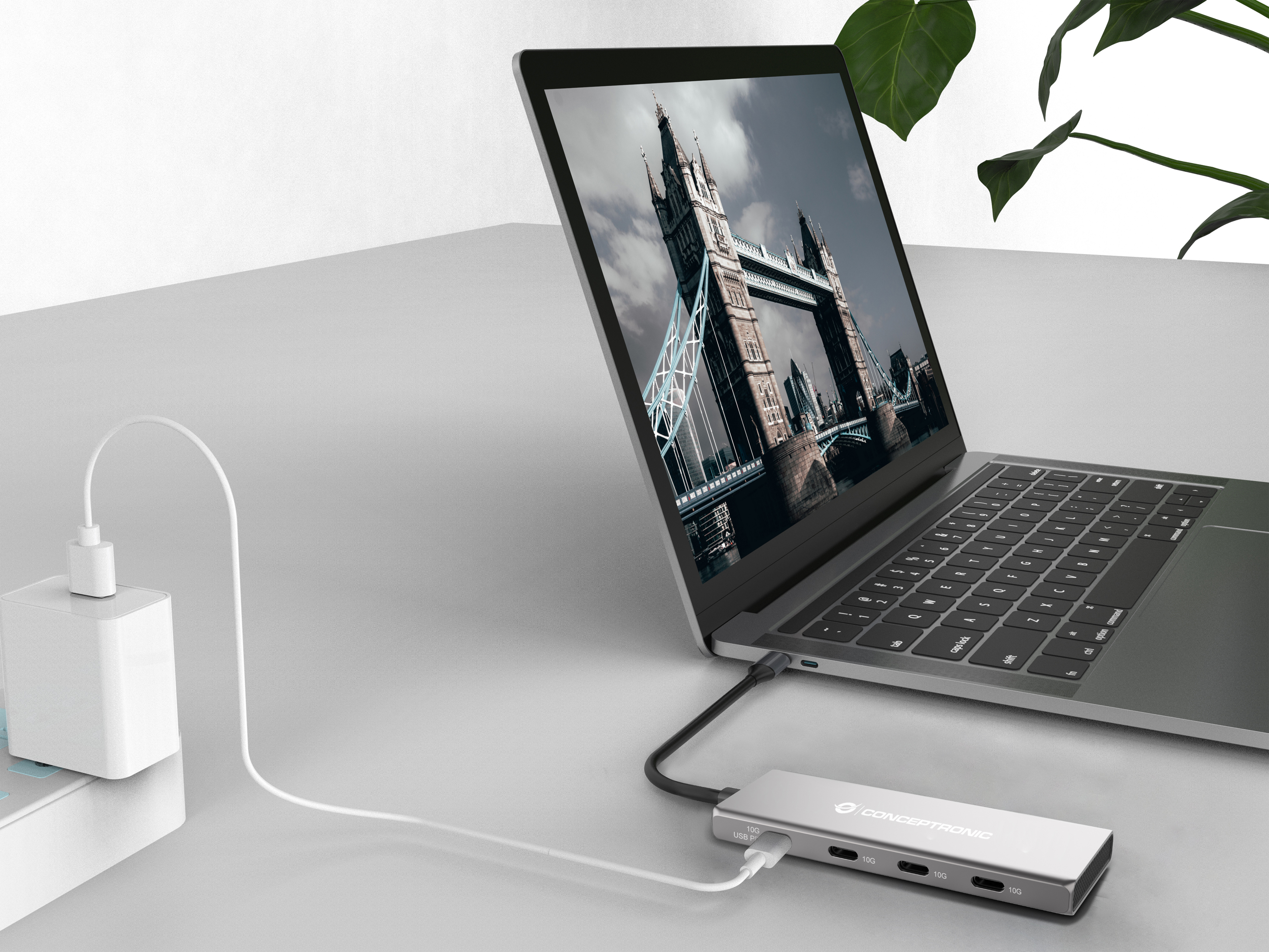 Conceptronic HUBBIES16G - USB 3.2 Gen 2 (3.1 Gen 2) Type-C - USB 3.2 Gen 2 (3.1 Gen 2) Type-C - 10000 Mbit/s - Grau, Ansicht 2